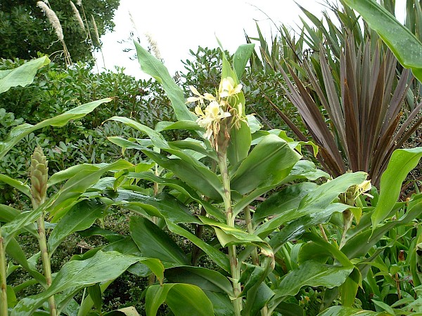 Quiz image