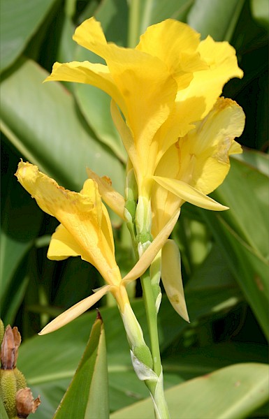 Quiz image