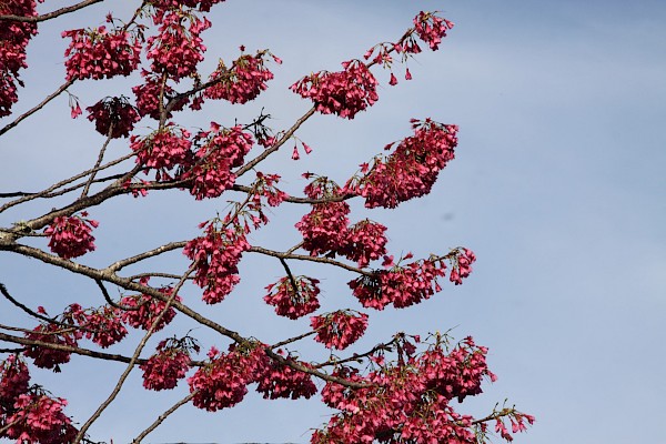 Quiz image
