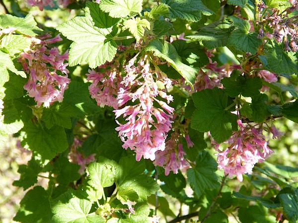 Quiz image