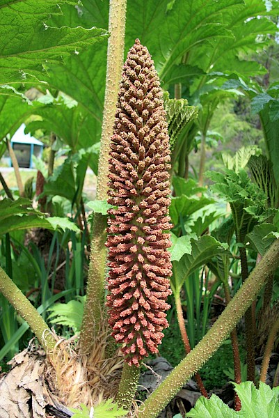 Quiz image