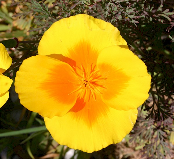 Quiz image