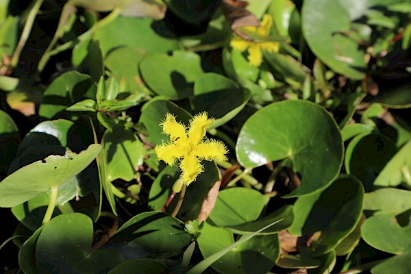 Quiz image