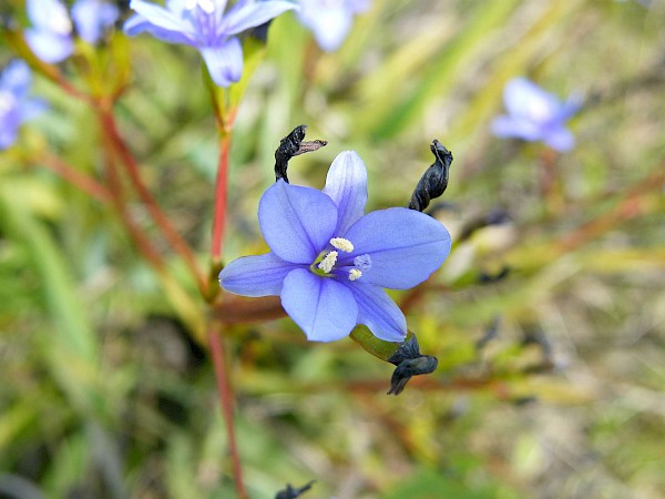 Quiz image
