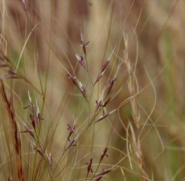 Quiz image