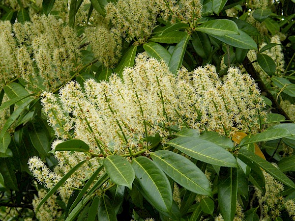 Quiz image