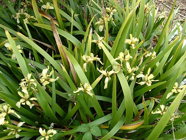 Quiz image