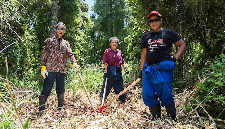 Uawa Weed Warriors get stuck in with grubbers