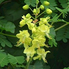 Photo: Paul Champion