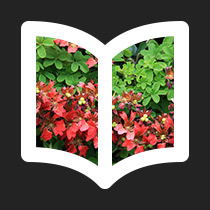 Weed booklet icon