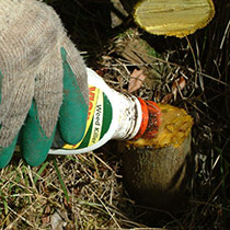 Weed control